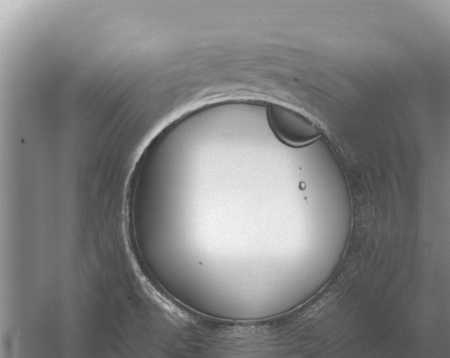 X0000057561518200509302031