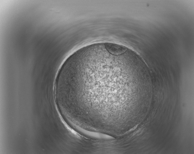 X0000057561519200509302031