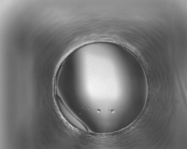 X0000057561520200509302031