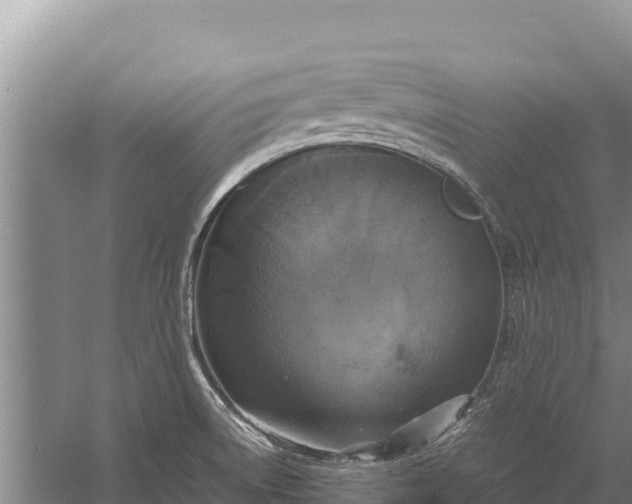 X0000057561522200509302031