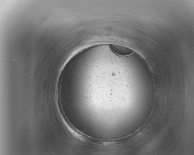 X0000057561523200509302031