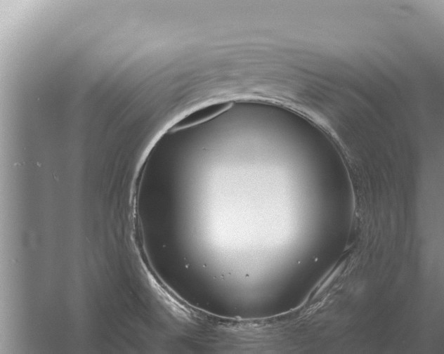 X0000057561524200509302032