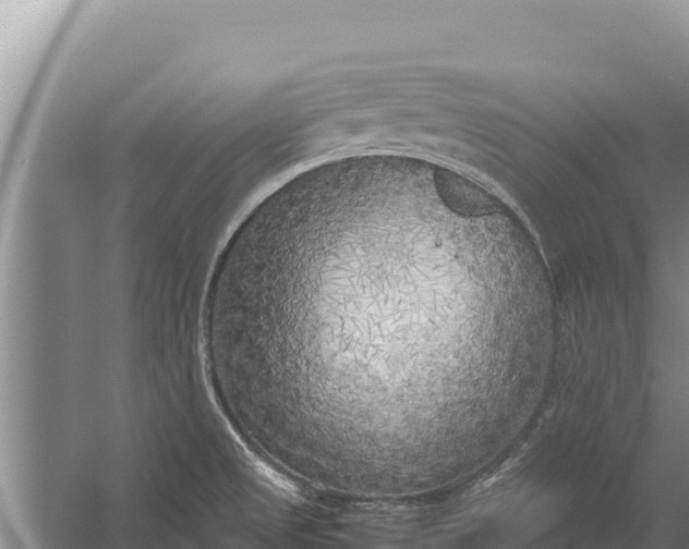 X0000057561525200509302032