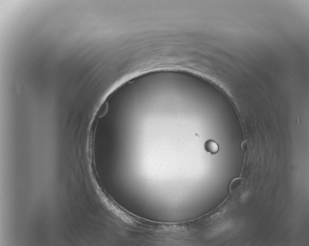 X0000057561526200509302032