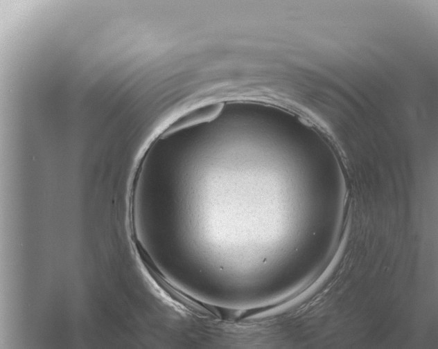 X0000057561528200509302032