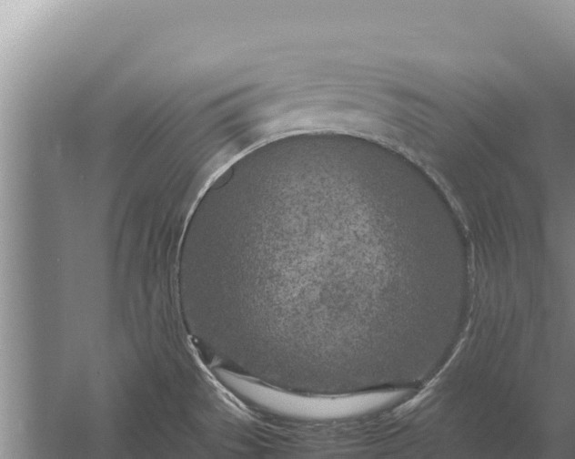 X0000057561529200509302032