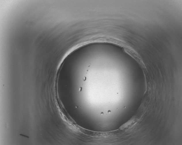 X0000057561530200509302032