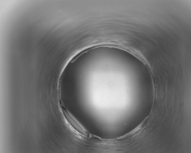 X0000057561532200509302032