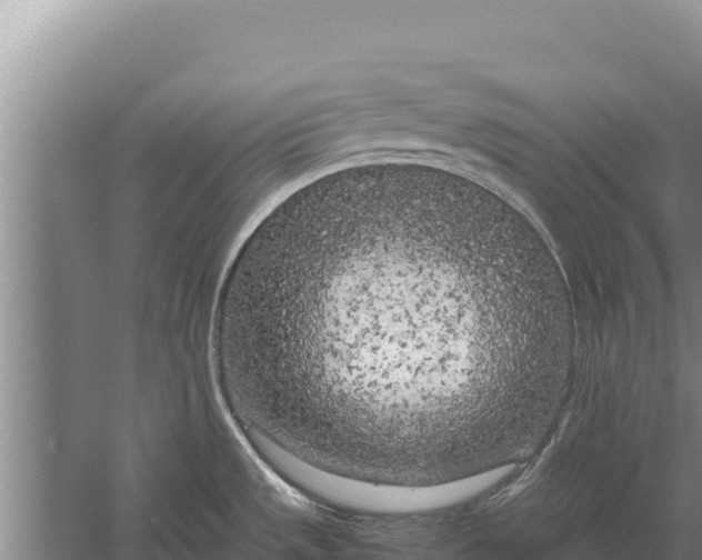 X0000057561533200509302032