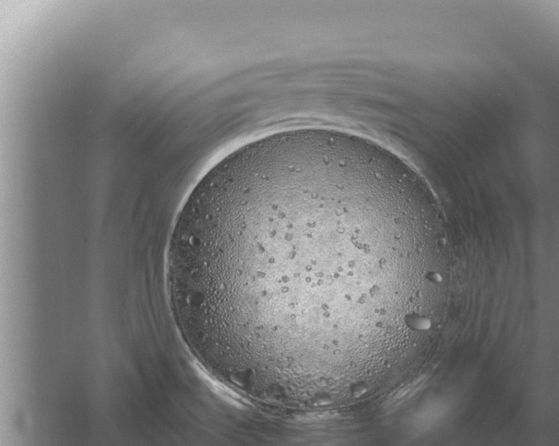 X0000057561535200509302032