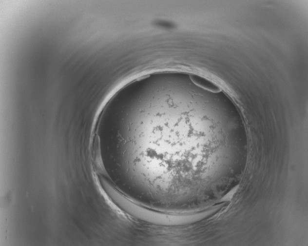 X0000057561536200509302032