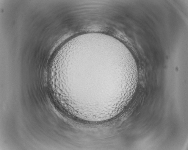 X0000057560012200510071529