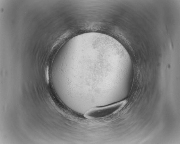 X0000057560020200510071529