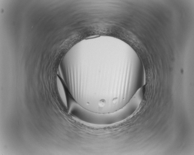 X0000057560029200510071529