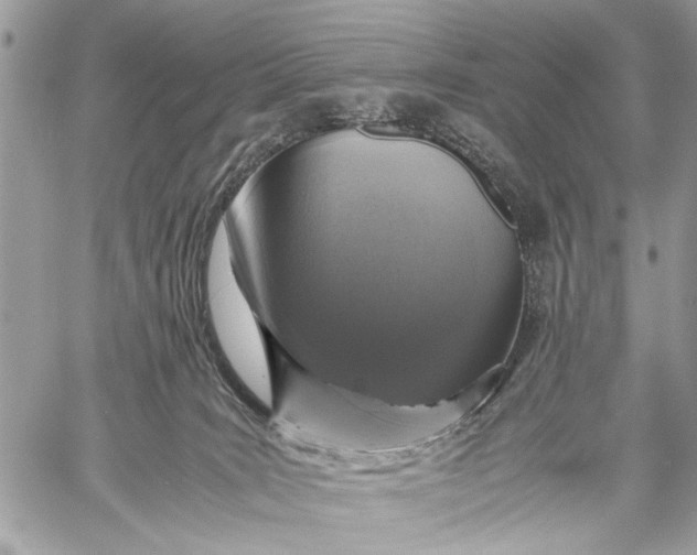X0000057560035200510071529