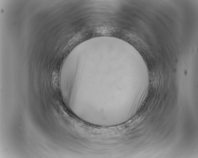 X0000057560036200510071529