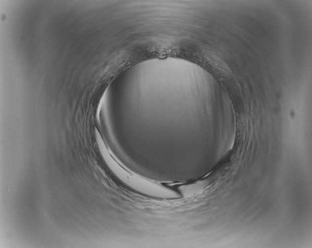 X0000057560039200510071529
