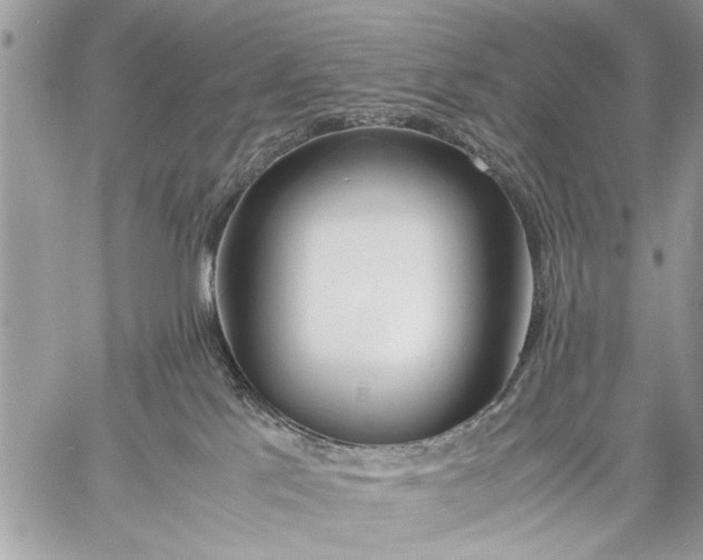 X0000057560041200510071529