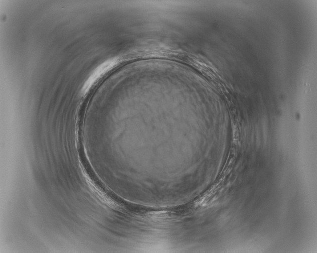 X0000057560054200510071528