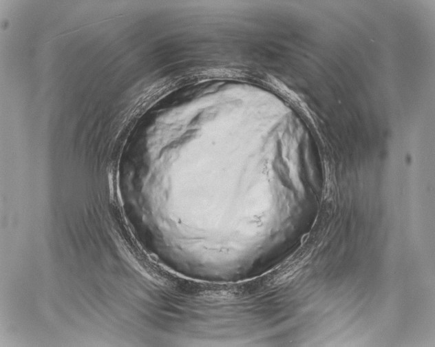 X0000057560061200510071528