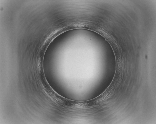 X0000057560064200510071528