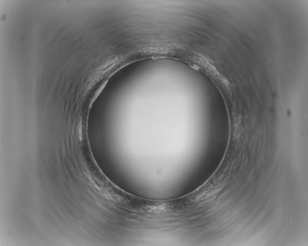X0000057560068200510071528