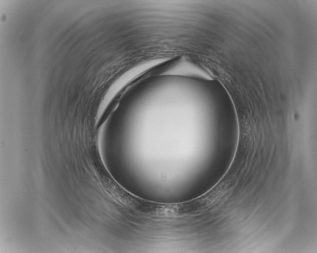 X0000057560080200510071528