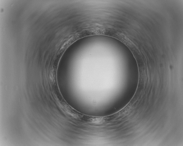 X0000057560088200510071529