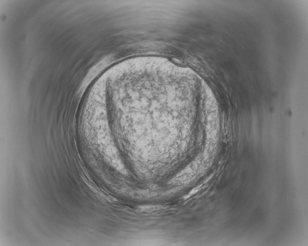 X0000057560099200510071528