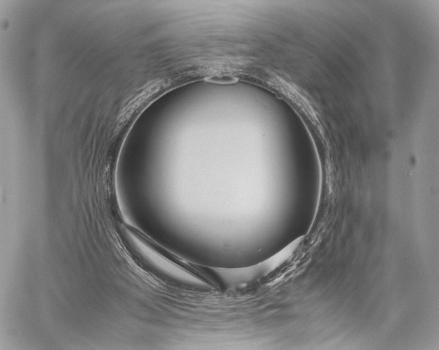 X0000057560105200510071528