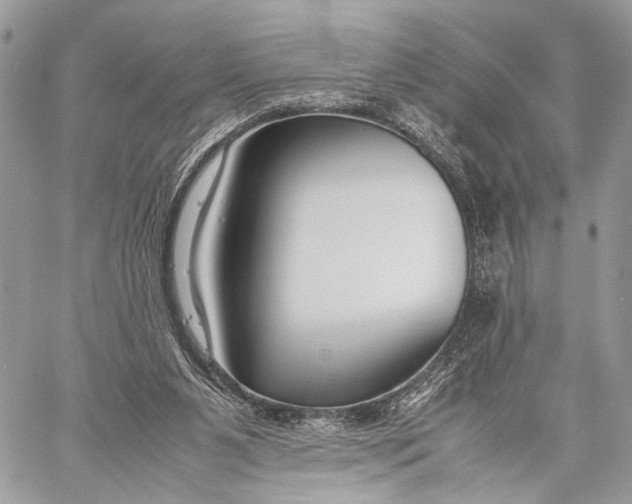 X0000057560111200510071528