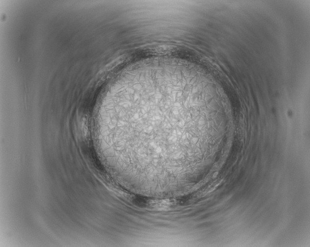 X0000057560131200510071527