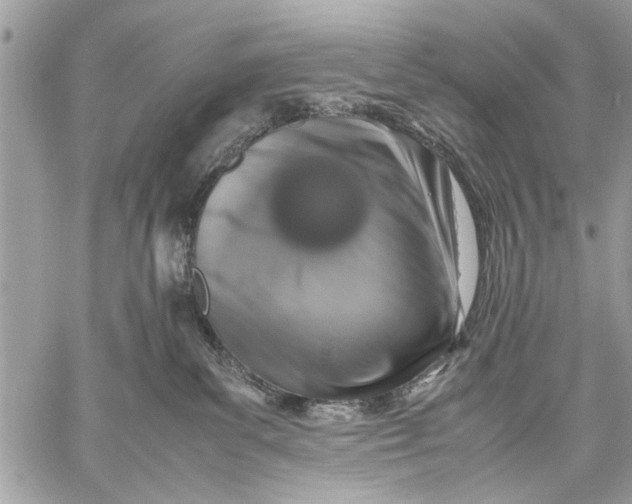 X0000057560139200510071527