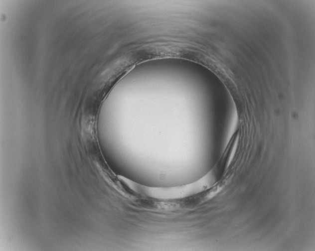 X0000057560141200510071527