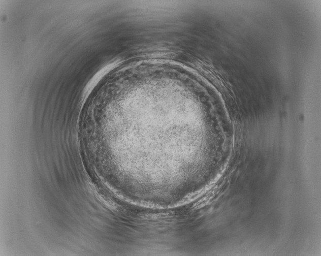 X0000057560147200510071526