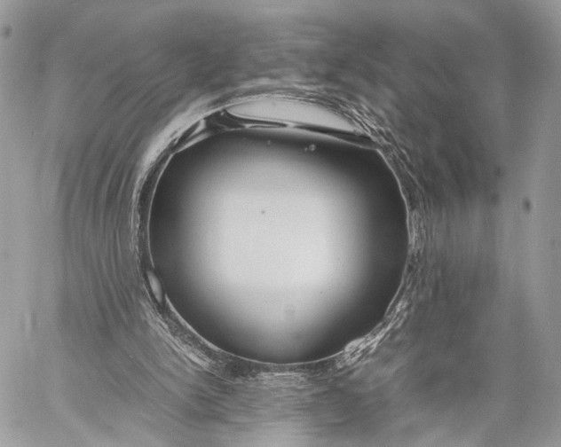 X0000057560150200510071526