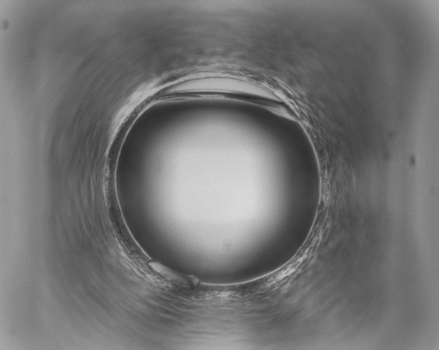 X0000057560152200510071526