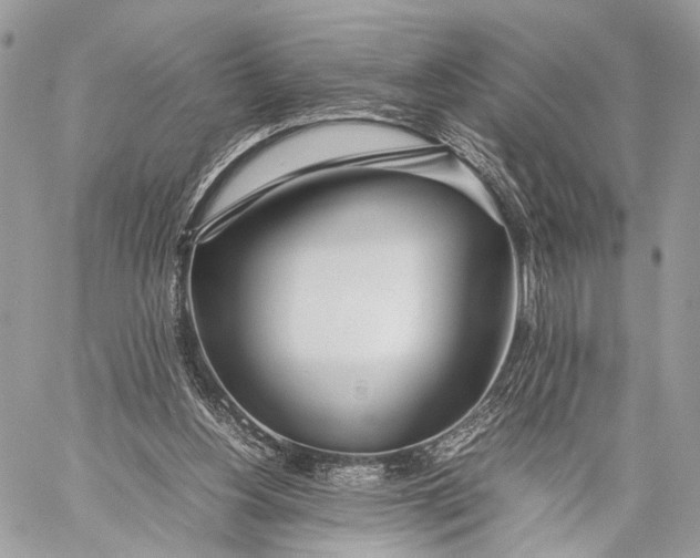 X0000057560156200510071527