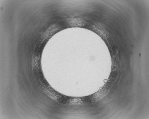 X0000057560162200510071527