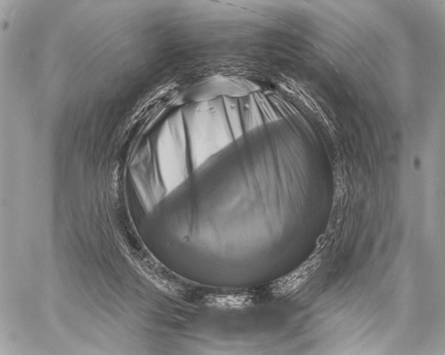 X0000057560163200510071527