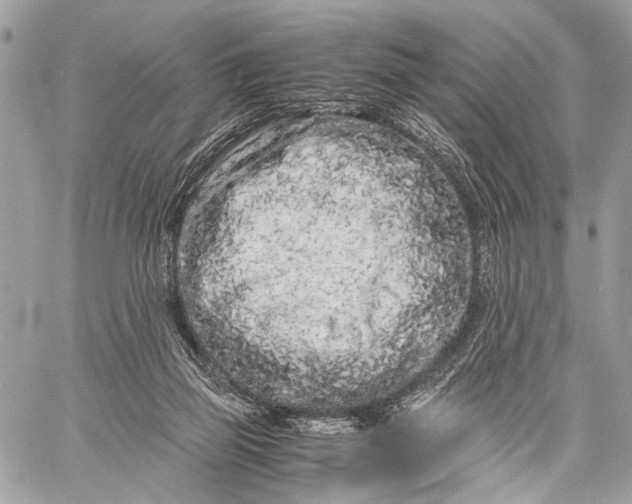 X0000057560165200510071527
