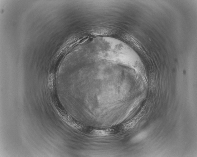 X0000057560167200510071527