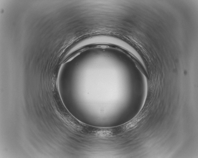 X0000057560168200510071527