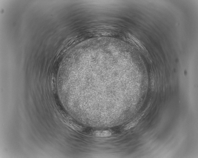 X0000057560169200510071527