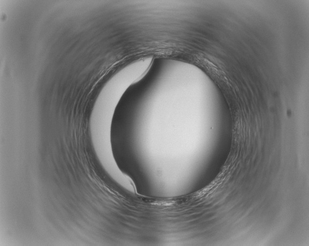 X0000057560172200510071527