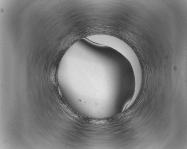 X0000057560185200510071527