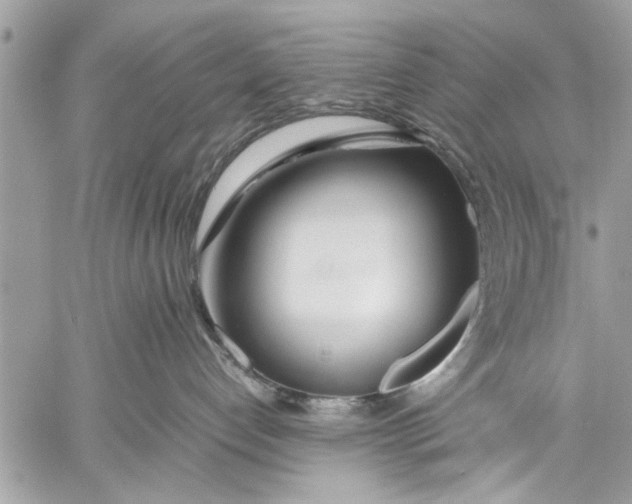 X0000057560192200510071527