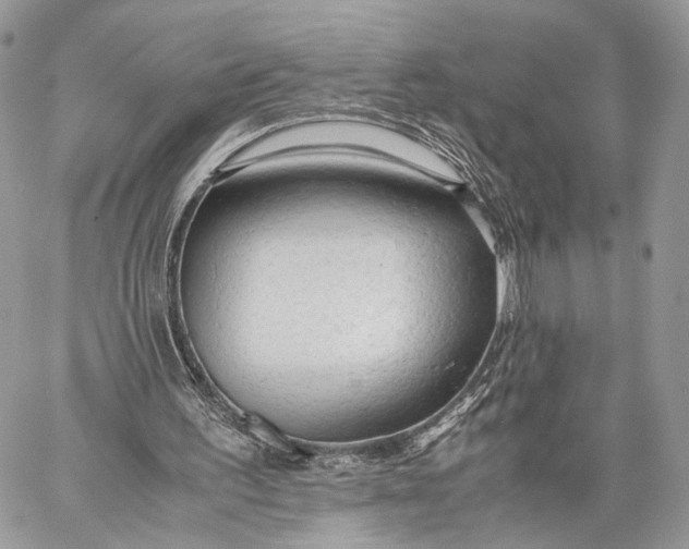 X0000057560195200510071526