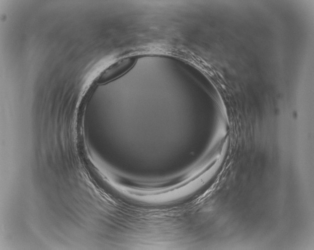 X0000057560200200510071526