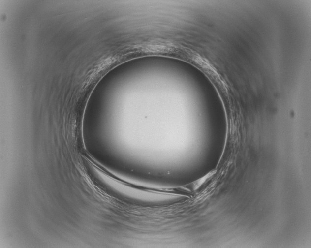 X0000057560201200510071526